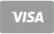 Visa kartica plačilo